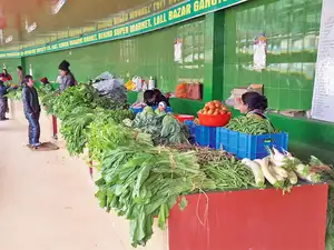 Sikkim could offer lessons to other states in encouraging farmers to take up organic farming, but getting them to stick to it is the real challenge. Sikkim could offer lessons to other states in encouraging farmers to take up organic farming, but getting them to stick to it is the real challenge.