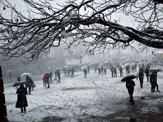 Tourists enjoy snowfall
