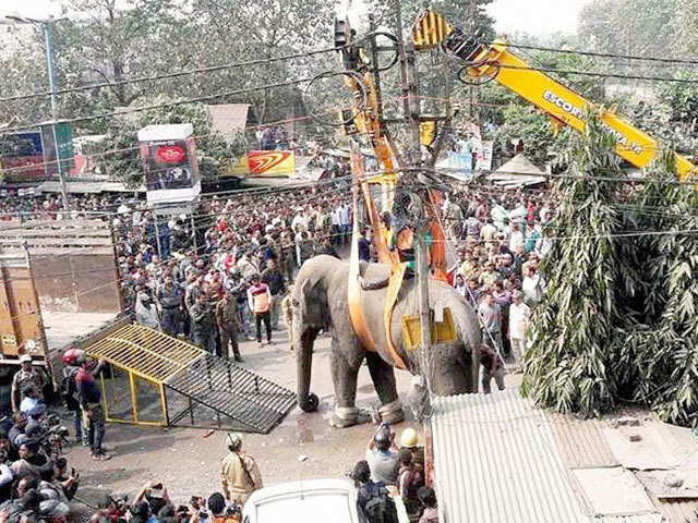 Elephant enters Siliguri, smashes cars and houses