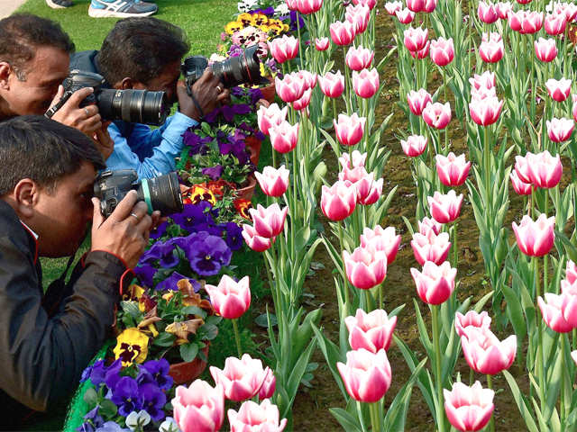 Beautiful images: President&#39;s Mughal Gardens in full bloom - Mughal Gardens in full bloom | The Economic Times
