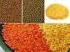 Price of pulses on fire due to less rain