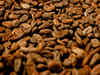 Increasing cocoa prices to hit chocolate companies
