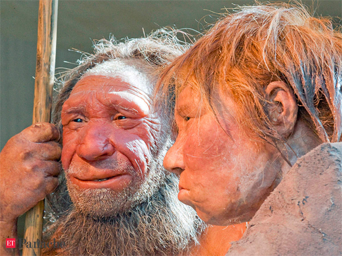 Neanderthals And Humans Interbred 100 000 Years Ago Says Study The Economic Times