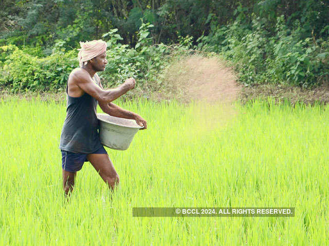 ​Rationalise subsidy regime on fertilisers