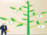 Agri stocks gain as govt gives Rs 36,000 crore to farm sector 1 80:Image