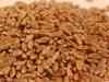 Wheat prices may stay bearish: Carsten Fritsch