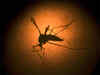 Indian scientists were aware of Zika virus in 1950s: ICMR head Soumya Swaminathan