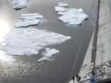 Greenland ice sheet getting darker, ups melting risk: Study