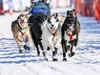 Dog-sled teams set off on Alaska's 1000-mile Iditarod race
