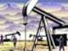 Crude policies in hydrocarbon sector