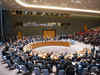 Can't allow veto to have a veto over UNSC reform process: India