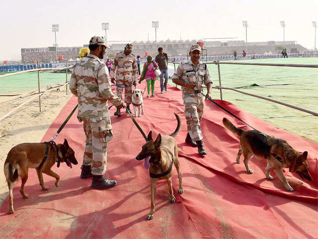 Sniffer dogs inspecting the venue