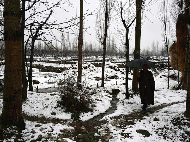 Fresh snowfall in Kashmir's Baramulla district