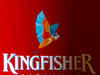 Dr D's advice for Kingfisher: The bird has flown