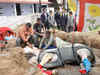 Dehradun: Police horse Shaktimaan on the road to recovery
