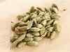 Cardamom futures gain 0.77% on spot demand