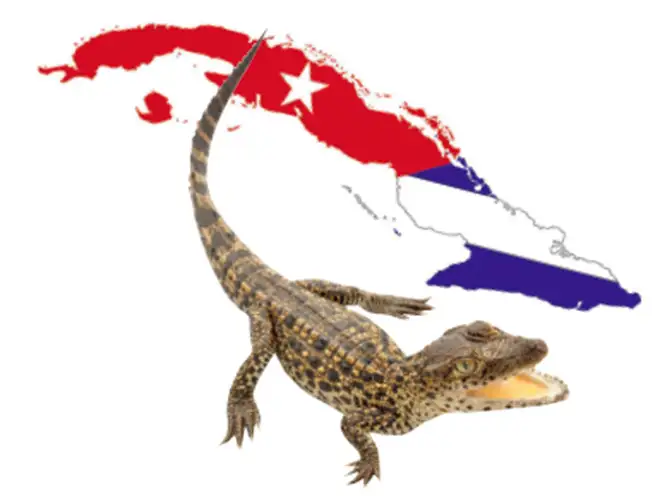 Interesting facts you should know about Cuba - The Economic Times