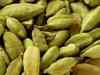 Cardamom futures gain 0.80% on spot demand