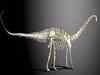 3D models show how giant dinosaurs evolved