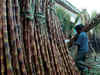 Farmers want higher sugarcane price, millers reluctant