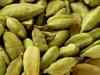 Cardamom futures shed 0.l7% on muted demand