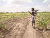 Drought-hit Maharashtra plans cloud-seeding