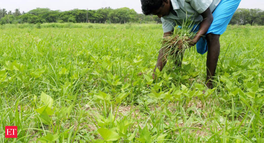 Niti Aayog Panel For Legalising Farmland Leases Move To Promote Agricultural Efficiency The 1546