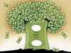 Hope rally: Mid & smallcaps get new lease of life
