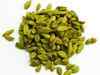 Cardamom futures recover by 0.51% on spot demand