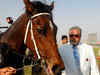 Did Vijay Mallya use loan money to buy a racehorse worth Rs 9 crore?