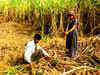 UP farmers to intensify stir over cane price