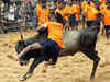 Jallikattu villages say only a party that respects Tamil sentiment will be voted to power