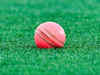 Haryana Cricket Association objects to Lodha proposal on making international players ‘automatic’ members