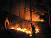 Burning fires singe Uttarakhand tourism