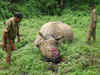 9 poachers arrested for killing rhino in Kaziranga
