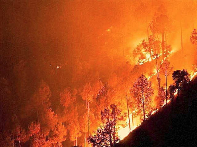 Centre sends team to probe Uttarakhand forest fires