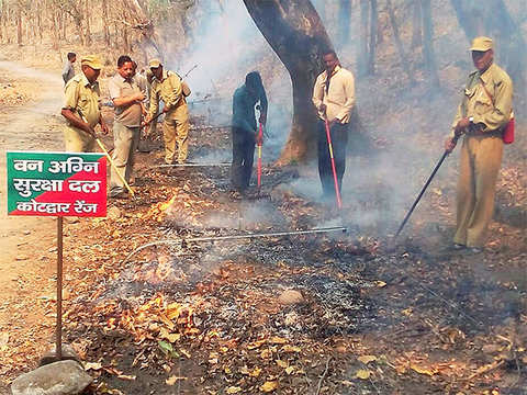 Uttarakhand forest fires: 10 things to know - Uttarakhand forest fires: 10  things to know | The Economic Times