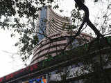 Sensex falls on earnings, global growth concerns