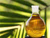 Palm oil prices rise; exports from Malaysia up 19%