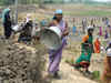 8,000 social auditors to monitor, assess works carried out under MGNREGA