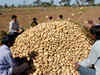 Less production makes potato costlier by 20%