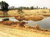 Identify wetlands in atleast 5 to 10 districts: National Green Tribunal to states, UTs