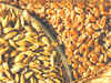 ET exclusive: Wheat imports begin in India