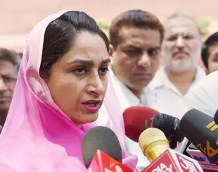 Union food processing minister Harsimrat Kaur Badal is pushing hard for incentives for multi-brand retailers who promise to make 20% of their investments in farm infrastructure. Union food processing minister Harsimrat Kaur Badal is pushing hard for incentives for multi-brand retailers who promise to make 20% of their investments in farm infrastructure.