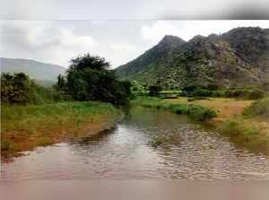 Mount_Abu_Wildlife_Sanctuary_2007