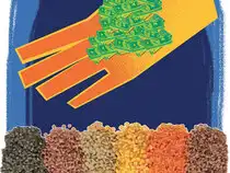 The Cabinet Committee on Economic Affairs, chaired by Prime Minister Narendra Modi, on Wednesday decided to give a bonus of Rs 425 per quintal for pulses. The Cabinet Committee on Economic Affairs, chaired by Prime Minister Narendra Modi, on Wednesday decided to give a bonus of Rs 425 per quintal for pulses.
