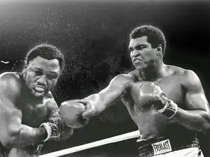 muhammad ali journey through the life and times of the legend the