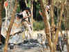 Death toll in Mathura clash rises to 29