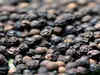 Black pepper output to rise in India this season