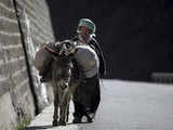 A Tibetan woman walks home with her donkey